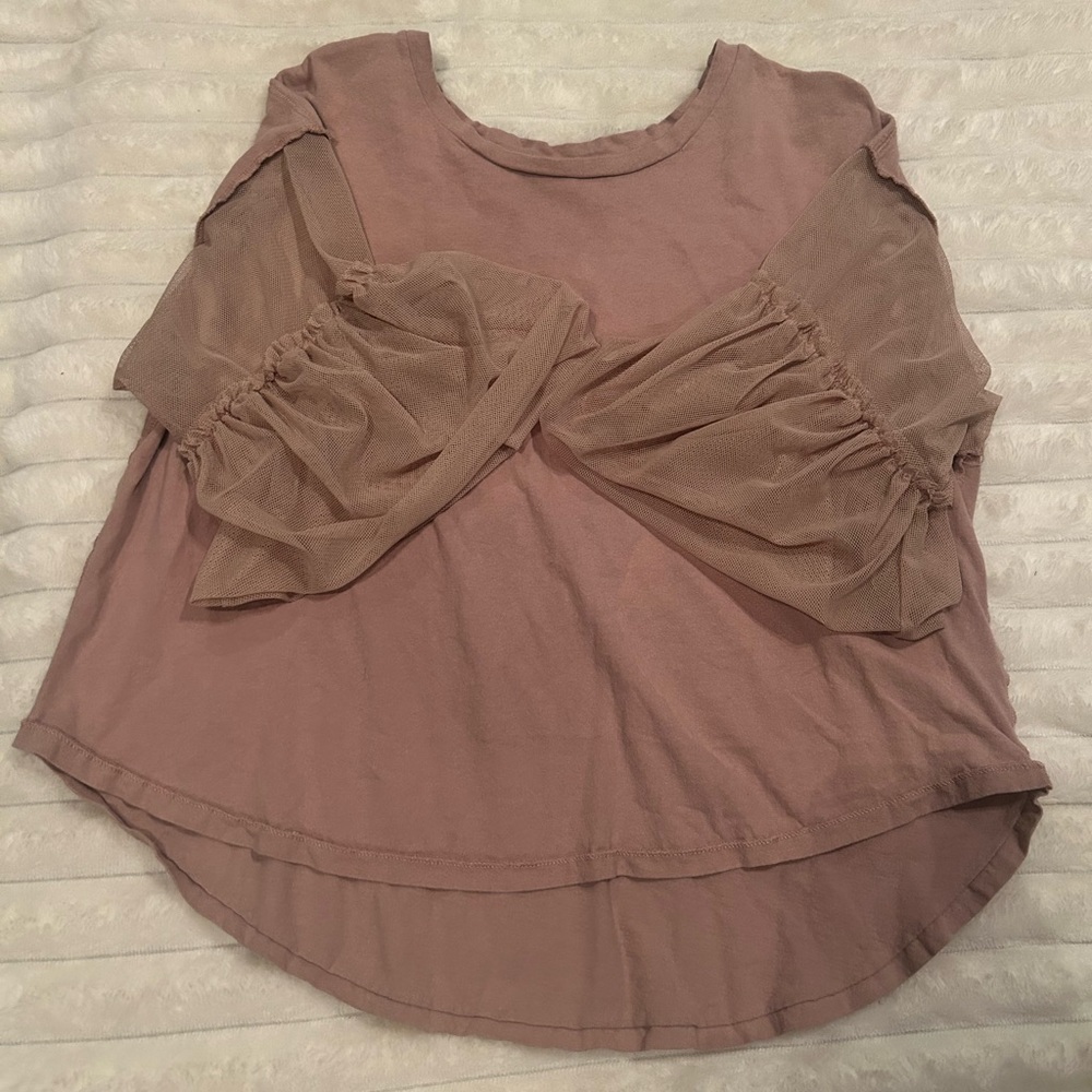 Umgee Mauve Top with Sheer Sleeves